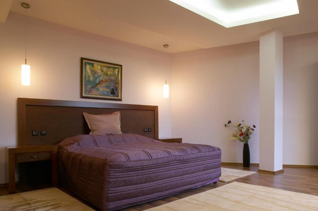 Park Hotel Green Europe Haskovo Cameră foto
